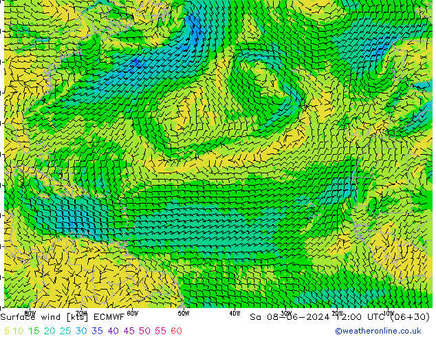 wiatr 10 m ECMWF so. 08.06.2024 12 UTC