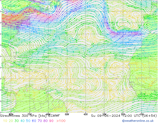 Stromlinien 300 hPa ECMWF So 09.06.2024 12 UTC