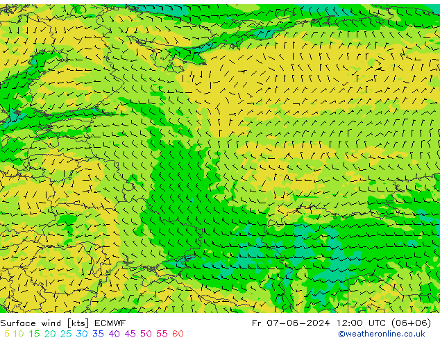 Prec 6h/Wind 10m/950 ECMWF пт 07.06.2024 12 UTC