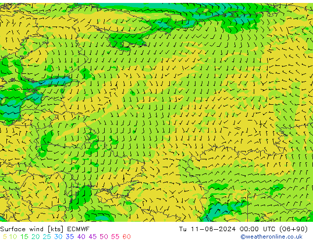 Surface wind ECMWF Út 11.06.2024 00 UTC