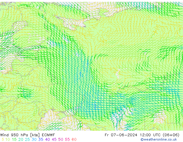 Prec 6h/Wind 10m/950 ECMWF пт 07.06.2024 12 UTC