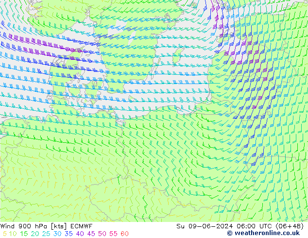 Wind 900 hPa ECMWF zo 09.06.2024 06 UTC