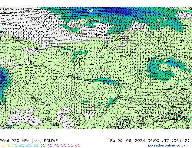 Wind 950 hPa ECMWF zo 09.06.2024 06 UTC