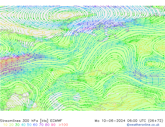 Rüzgar 300 hPa ECMWF Pzt 10.06.2024 06 UTC