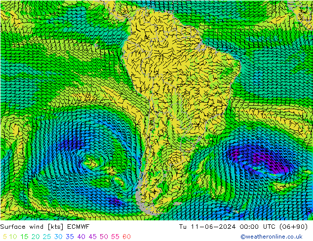 Surface wind ECMWF Tu 11.06.2024 00 UTC