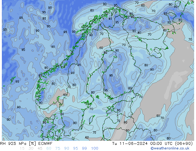 RH 925 hPa ECMWF  11.06.2024 00 UTC