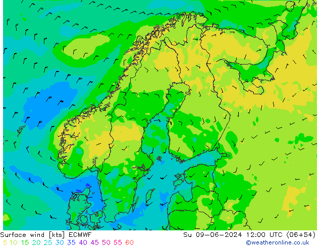 Vent 10 m ECMWF dim 09.06.2024 12 UTC