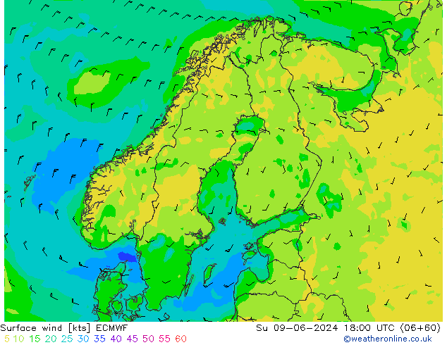 Viento 10 m ECMWF dom 09.06.2024 18 UTC