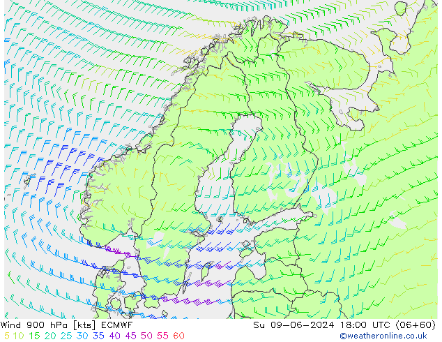 wiatr 900 hPa ECMWF nie. 09.06.2024 18 UTC