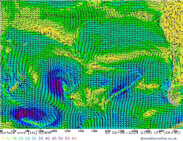 Wind 10 m ECMWF zo 09.06.2024 03 UTC