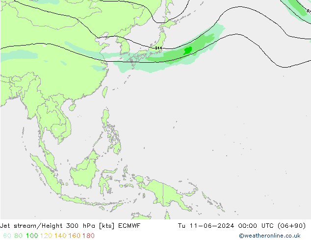  ECMWF  11.06.2024 00 UTC