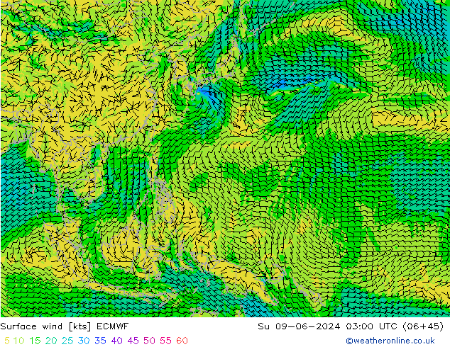 Surface wind ECMWF Su 09.06.2024 03 UTC