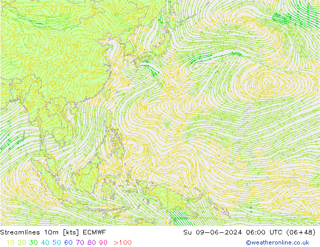 Stroomlijn 10m ECMWF zo 09.06.2024 06 UTC