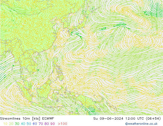 Linea di flusso 10m ECMWF dom 09.06.2024 12 UTC