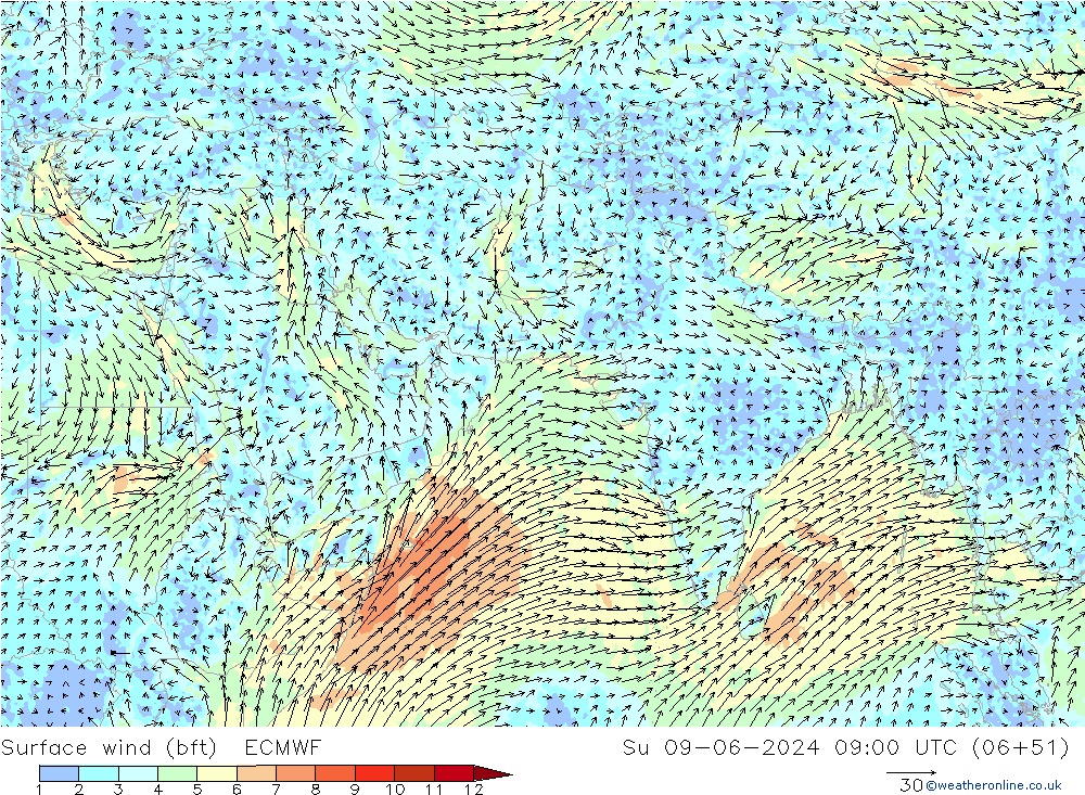 Wind 10 m (bft) ECMWF zo 09.06.2024 09 UTC