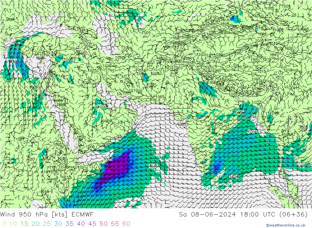 Prec 6h/Wind 10m/950 ECMWF сб 08.06.2024 18 UTC