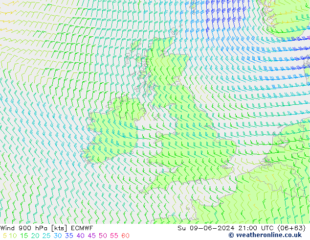 Wind 900 hPa ECMWF zo 09.06.2024 21 UTC