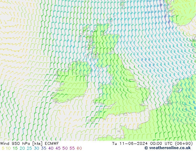 Wind 950 hPa ECMWF Tu 11.06.2024 00 UTC