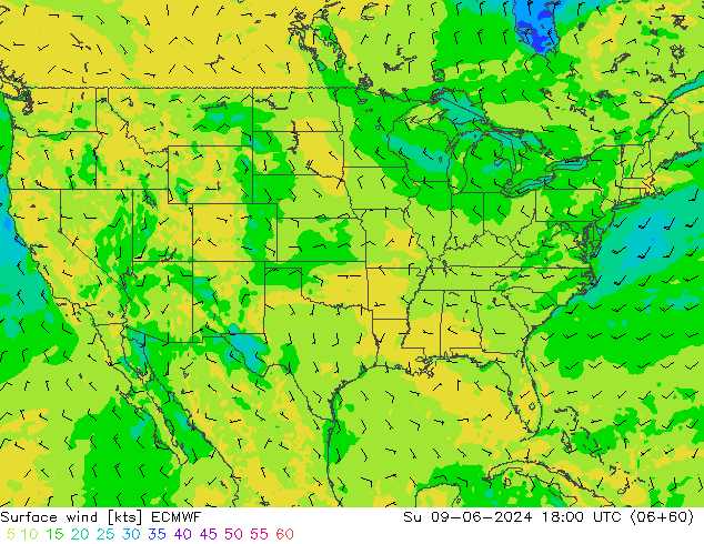 Surface wind ECMWF Su 09.06.2024 18 UTC