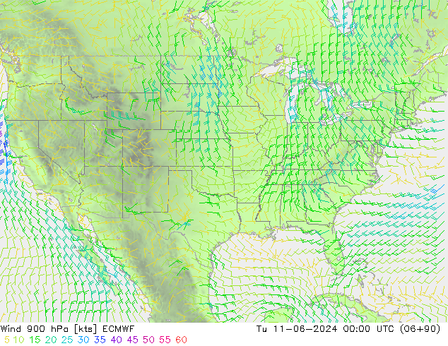 Vento 900 hPa ECMWF Ter 11.06.2024 00 UTC