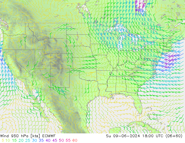 Wind 950 hPa ECMWF Su 09.06.2024 18 UTC