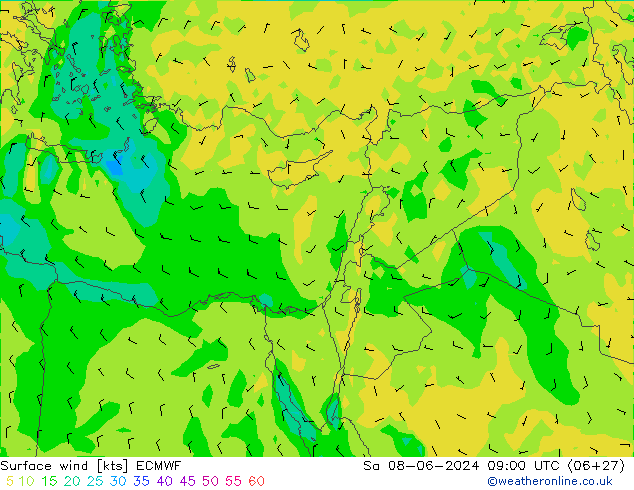  sáb 08.06.2024 09 UTC