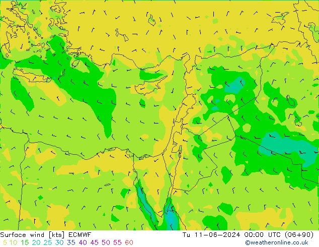 Wind 10 m ECMWF di 11.06.2024 00 UTC