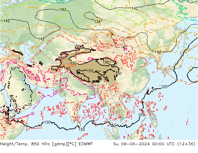 Z500/Rain (+SLP)/Z850 ECMWF Вс 09.06.2024 00 UTC