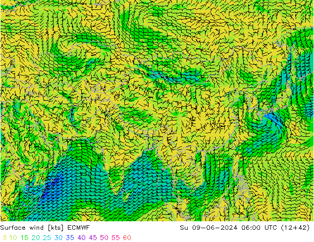 Prec 6h/Wind 10m/950 ECMWF dom 09.06.2024 06 UTC