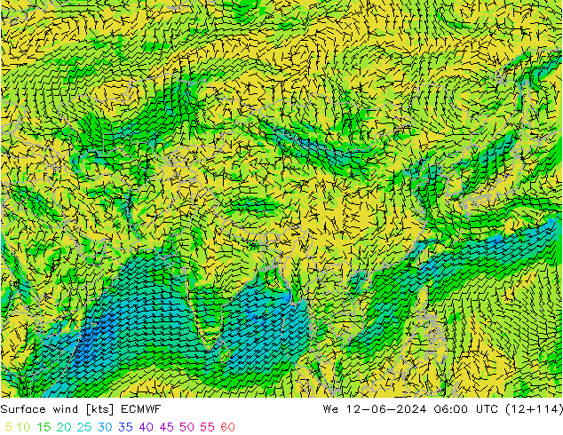 Wind 10 m ECMWF wo 12.06.2024 06 UTC