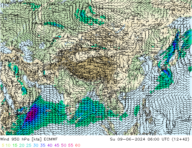 Prec 6h/Wind 10m/950 ECMWF dom 09.06.2024 06 UTC