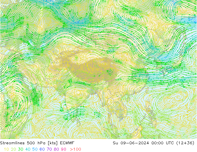 Rüzgar 500 hPa ECMWF Paz 09.06.2024 00 UTC