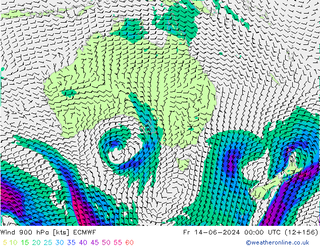 Wind 900 hPa ECMWF vr 14.06.2024 00 UTC