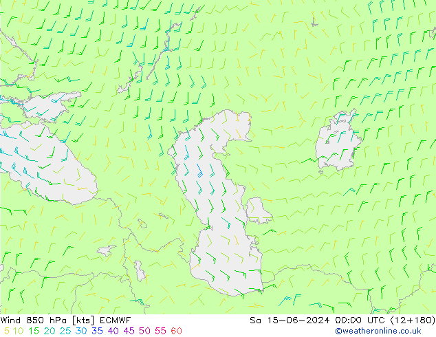 Wind 850 hPa ECMWF Sa 15.06.2024 00 UTC