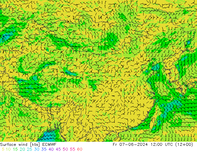 Surface wind ECMWF Fr 07.06.2024 12 UTC