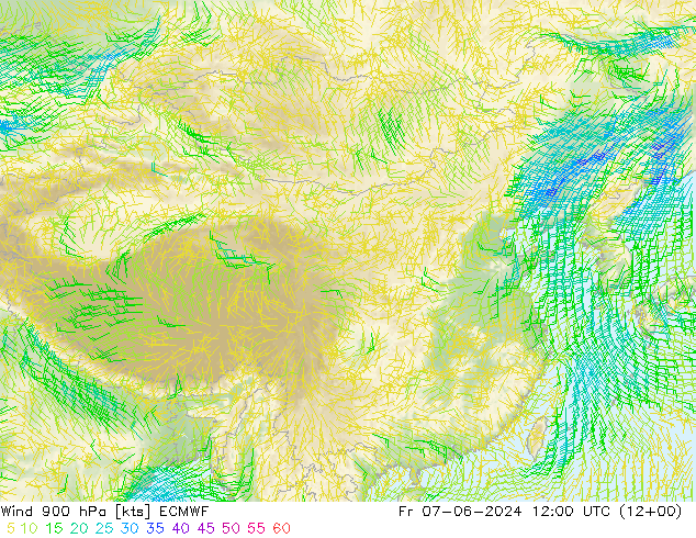 Wind 900 hPa ECMWF Fr 07.06.2024 12 UTC