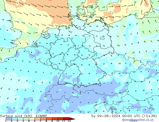 Surface wind (bft) ECMWF Su 09.06.2024 00 UTC