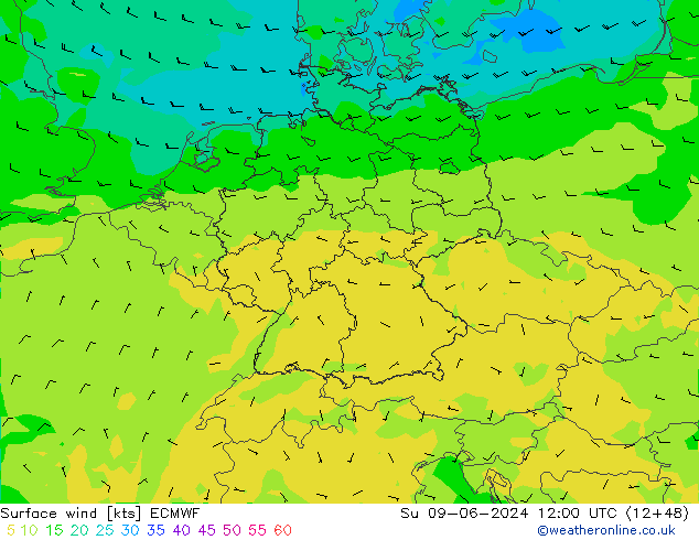 Bodenwind ECMWF So 09.06.2024 12 UTC