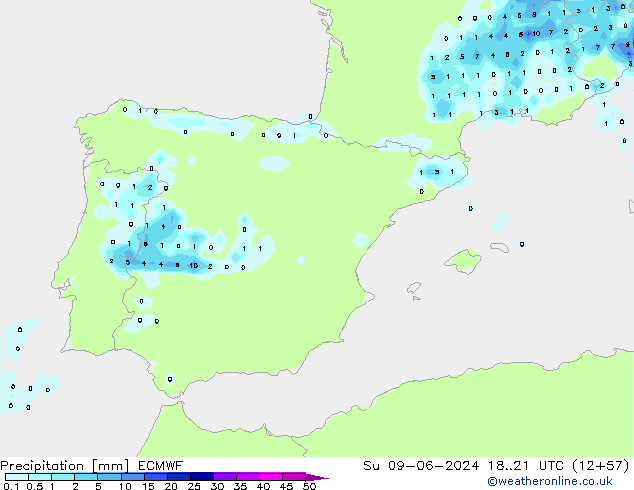 Precipitazione ECMWF dom 09.06.2024 21 UTC