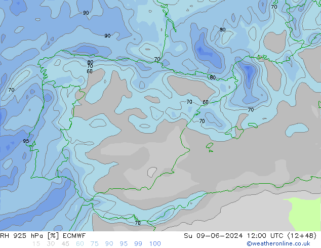 Humedad rel. 925hPa ECMWF dom 09.06.2024 12 UTC