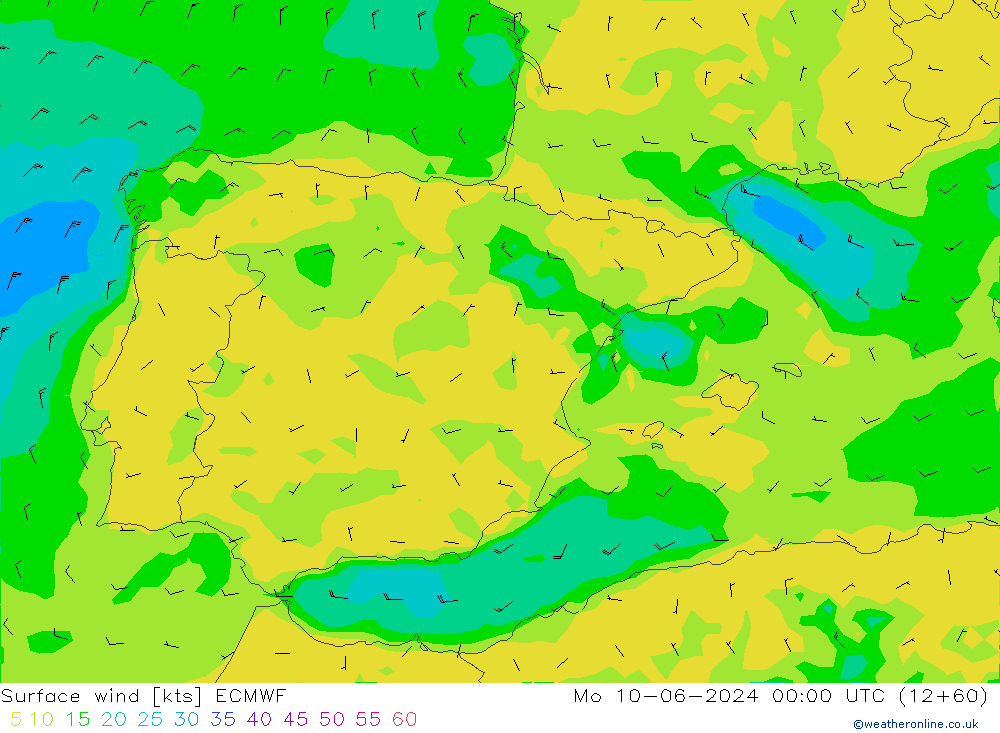  10 m ECMWF  10.06.2024 00 UTC