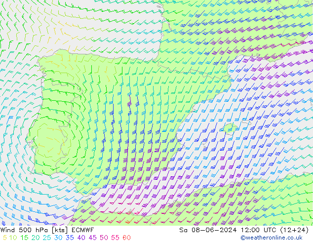 Wind 500 hPa ECMWF Sa 08.06.2024 12 UTC