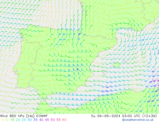 Wind 850 hPa ECMWF Su 09.06.2024 03 UTC