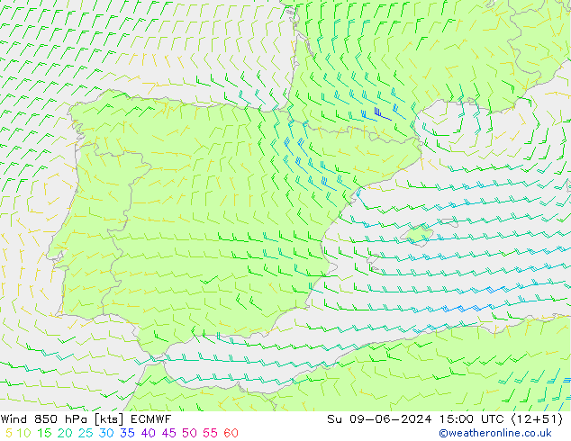 Wind 850 hPa ECMWF Ne 09.06.2024 15 UTC