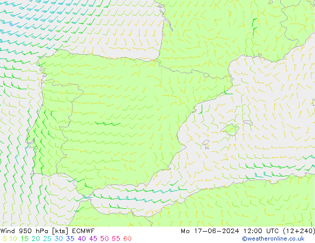 ветер 950 гПа ECMWF пн 17.06.2024 12 UTC