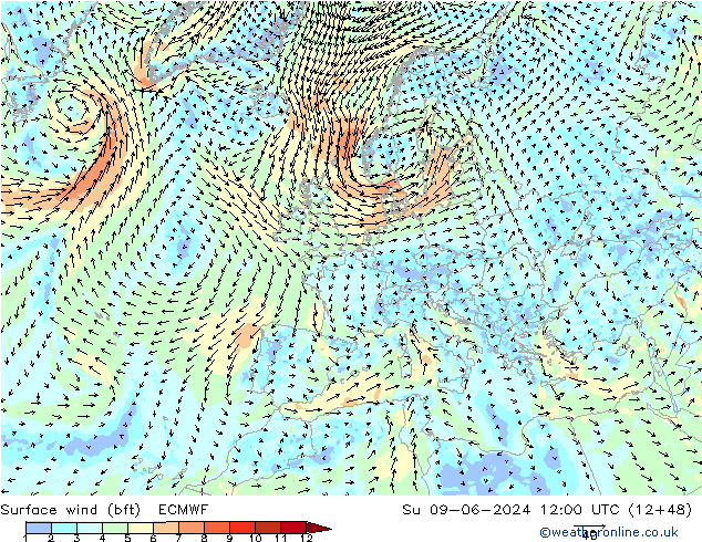 Bodenwind (bft) ECMWF So 09.06.2024 12 UTC