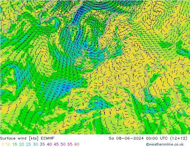 Surface wind ECMWF So 08.06.2024 00 UTC