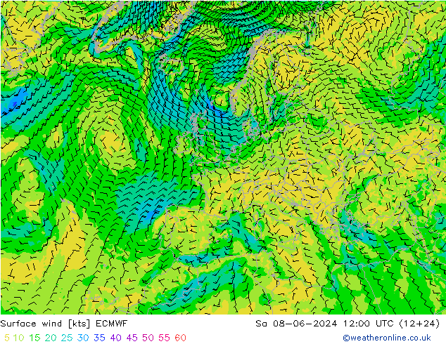 ветер 10 m ECMWF сб 08.06.2024 12 UTC