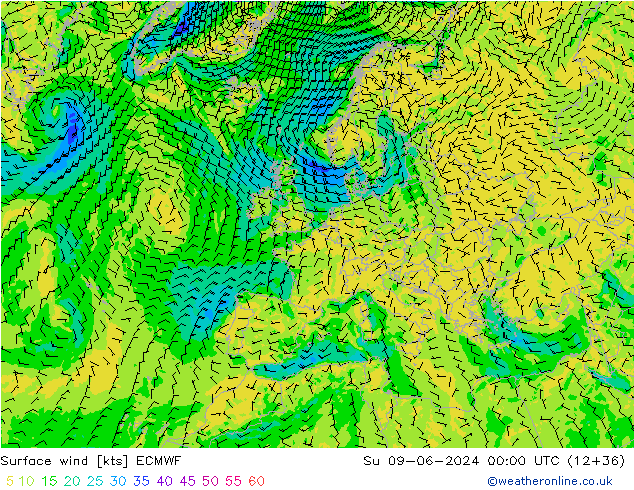 Bodenwind ECMWF So 09.06.2024 00 UTC