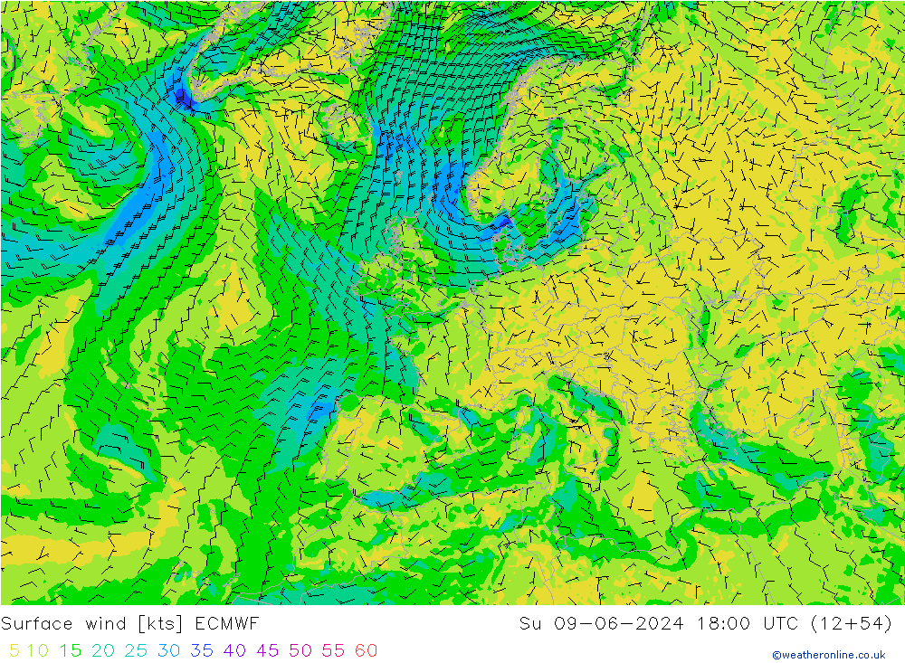 ветер 10 m ECMWF Вс 09.06.2024 18 UTC